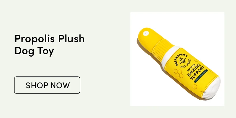 Plush Dog Toy