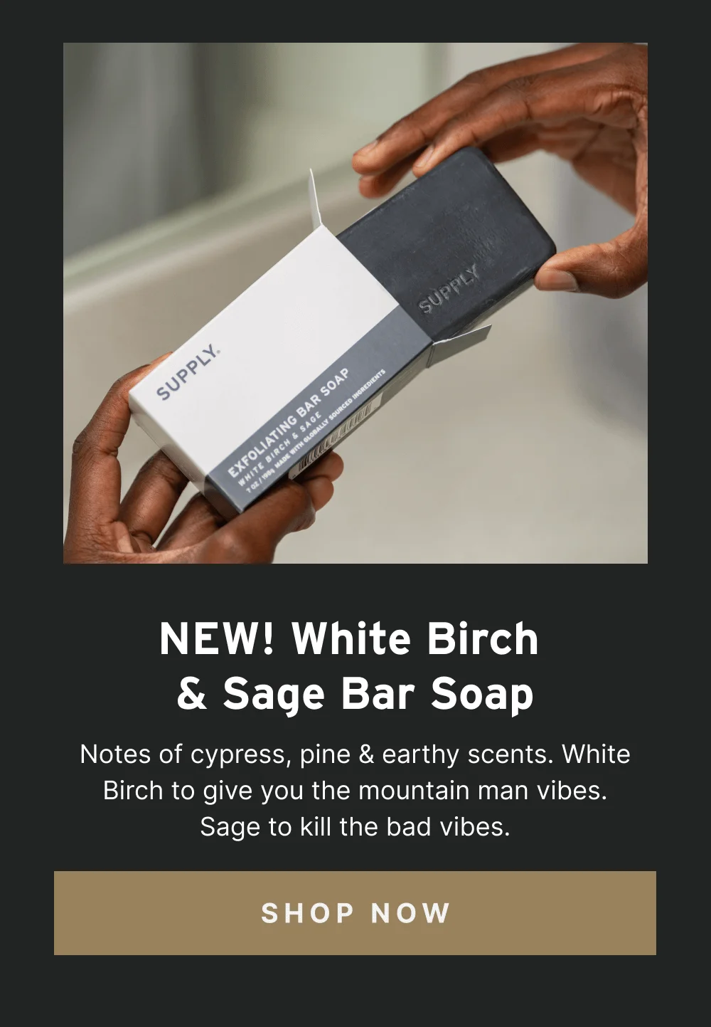 New!  White Birch & Sage Bar Soap [ Shop Now ]