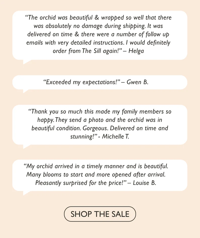 Shop the Semi-Annual Sale