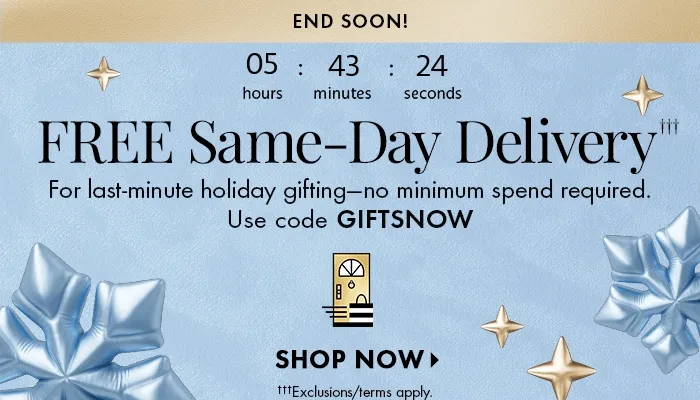 Free Same Day Delivery