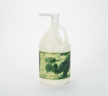 WEN by Chaz Dean Classic Cleansing Conditioner One Gallon