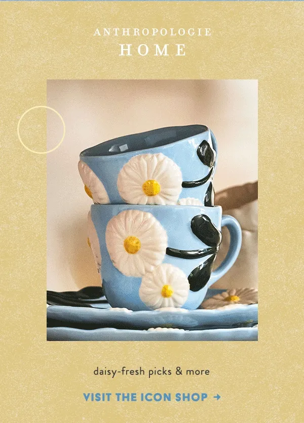 Visit The Icon Shop