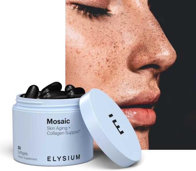 Mosaic | ELYSIUM