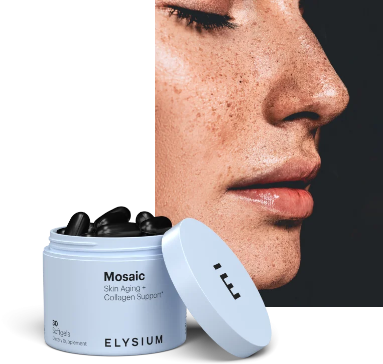 Mosaic | ELYSIUM