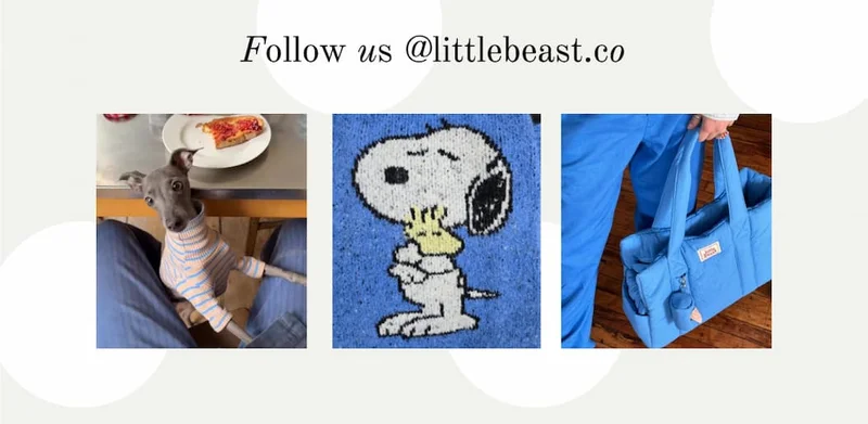 Follow us on Instagram