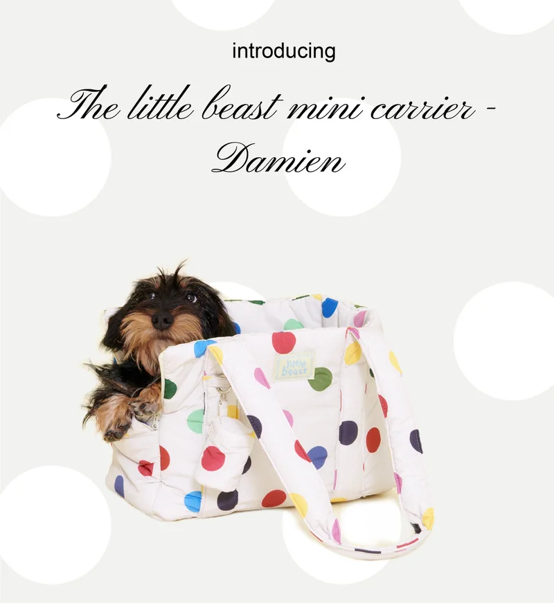 Introducing the little beast mini carrier - Damien