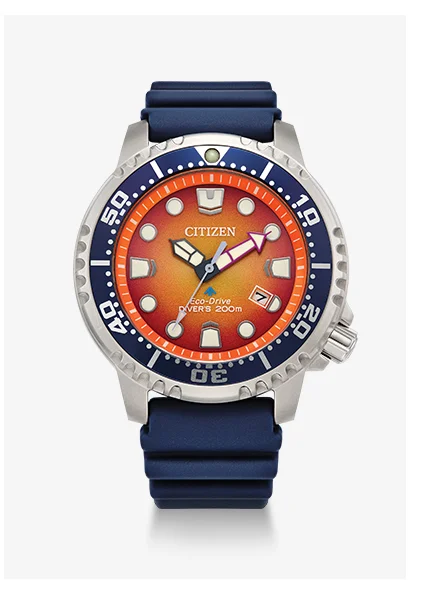 Promaster Dive.BN0169-03X