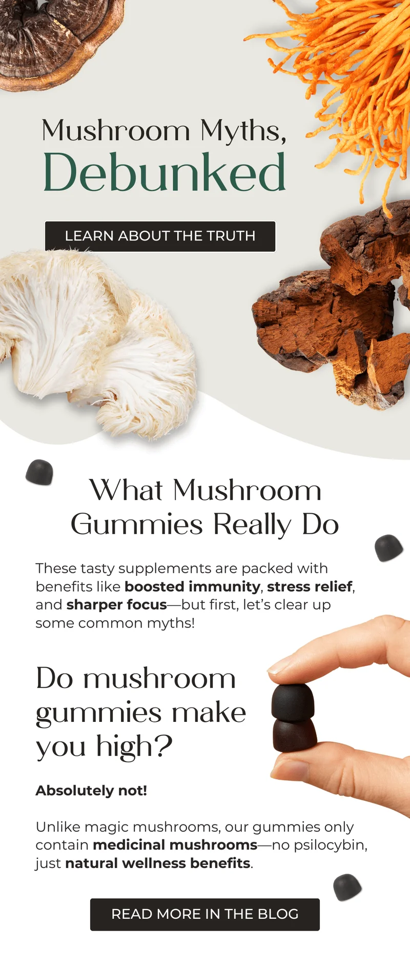 Mushroom Myths, Debunked