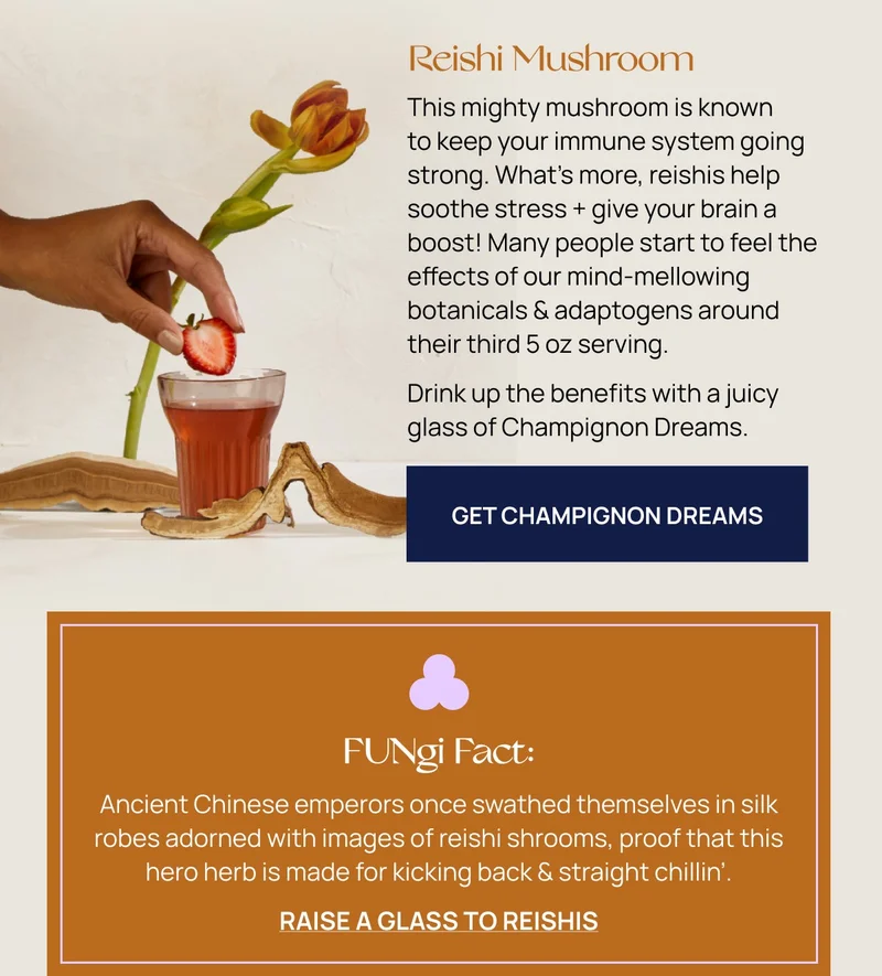 GET CHAMPIGNON DREAMS