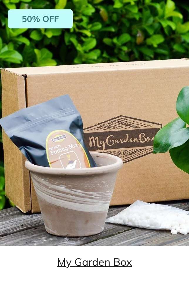 My Garden Box
