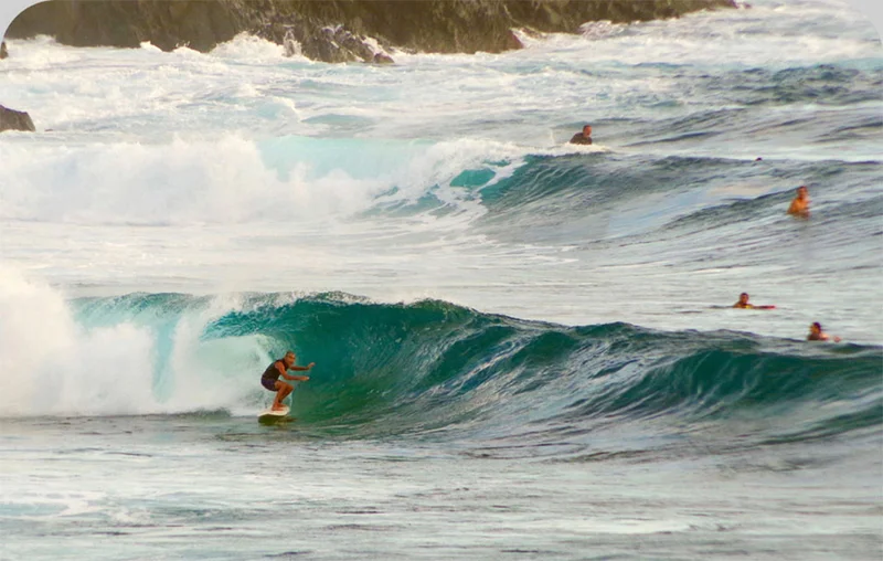 People surfing in warm water.