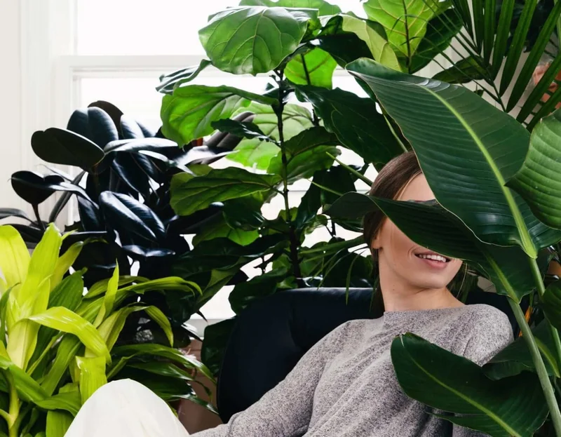 plants for stress relief