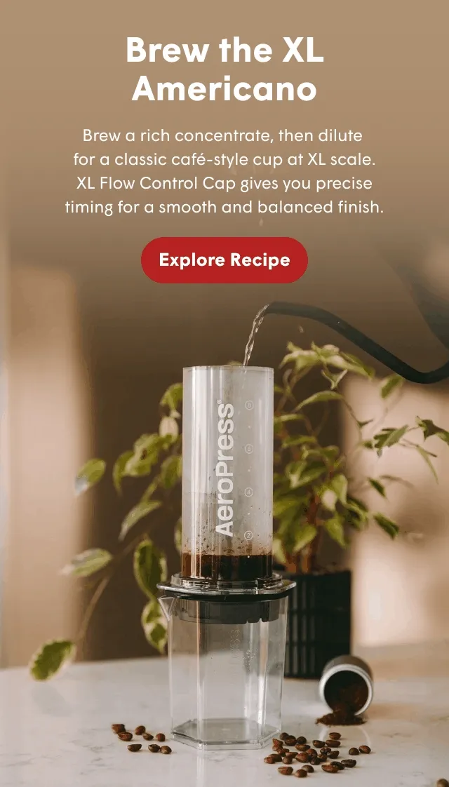 Brew the XL Americano