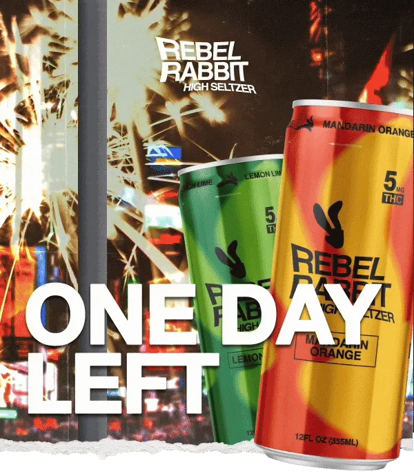 Rebel Rabbit: One Day Left