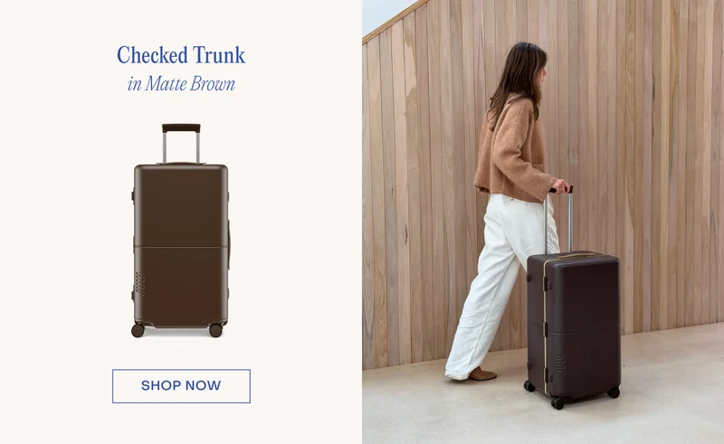 Checked Trunk in Matte Brown