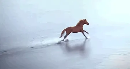 A video of a horse running on the beach.