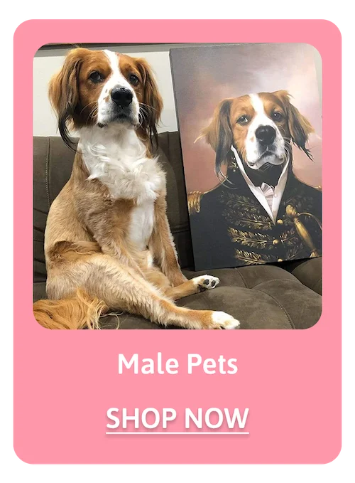 Male Pets - Shop Now