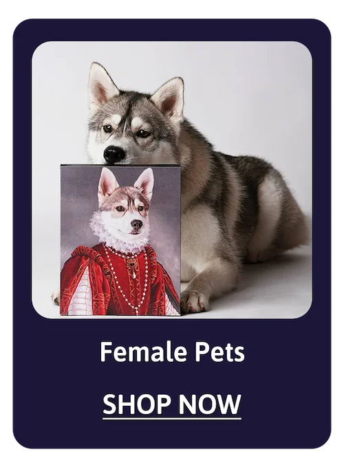 Female Pets - Shop Now