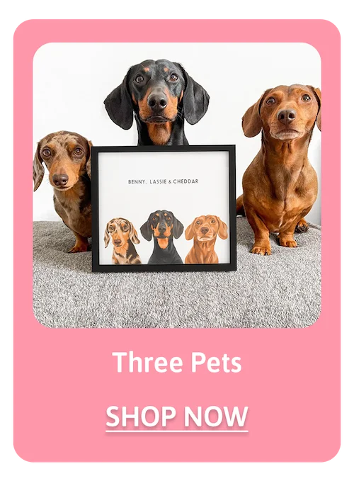 Three Pet Portraits - Shop Now