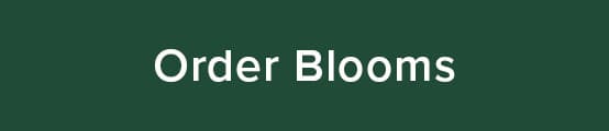 Order Blooms