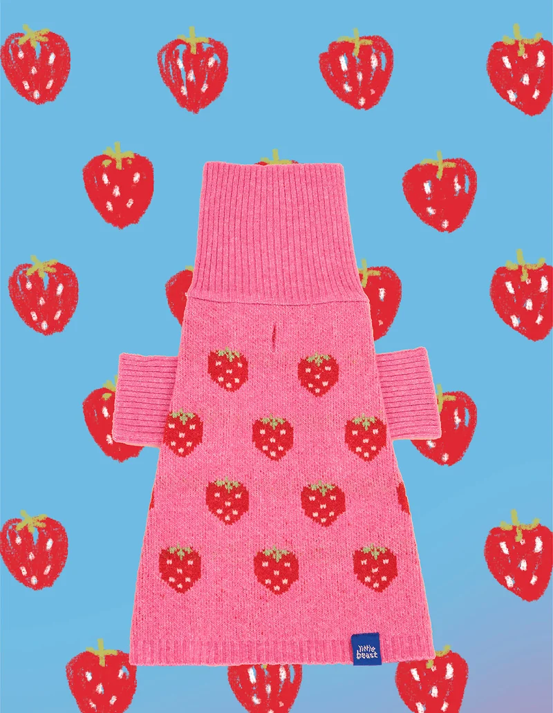 The Strawberry Sweater 🍓