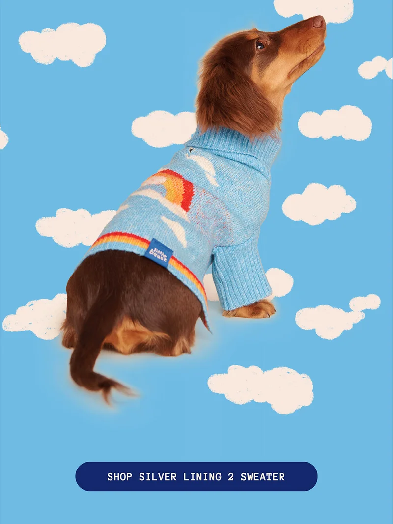 Silver Linings 2 Sweater