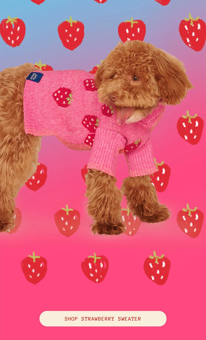 The Strawberry Sweater 🍓