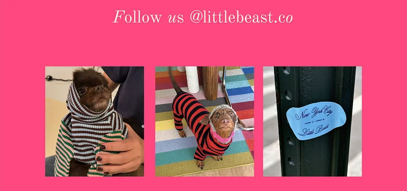 Follow us on Instagram
