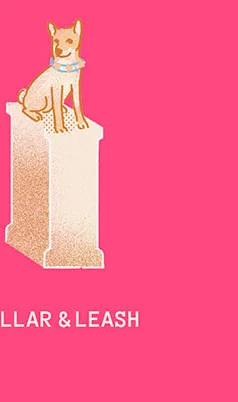 Collar & Leash