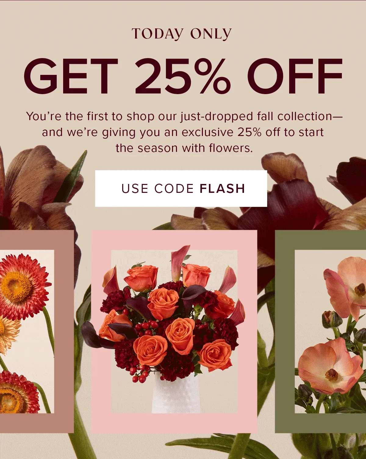 Today Only: Get 25% Off! You're the first to shop our just-dropped fall collection--and we're giving you an exclusive 25% off to start the season with flowers. Use code FLASH