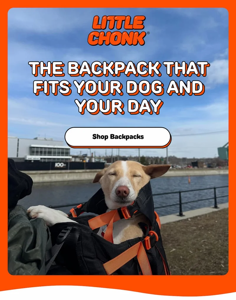 THE BACKPACK THAT FITS YOUR DOG AND YOUR DAY