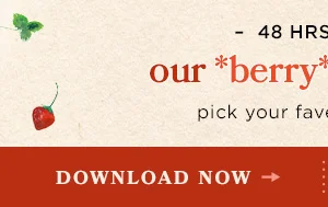 Download Now