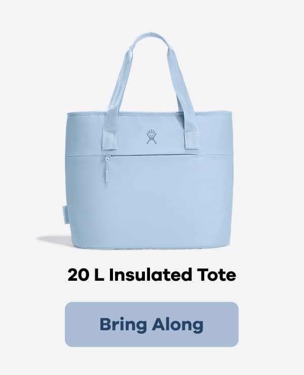 20 L Insulated Tote | Bring Along