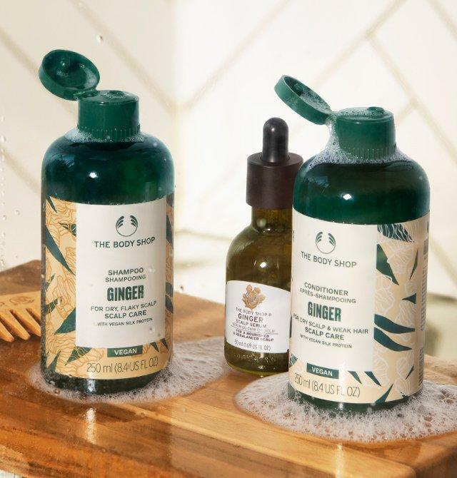Shampoo and Conditioner