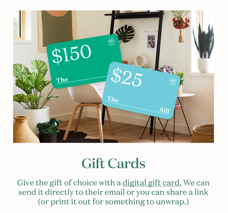 Gift Cards. Give the gift of choice with a digital gift card. We can send it directly to their email or you can share a link (or print it out for something to unwrap.)
