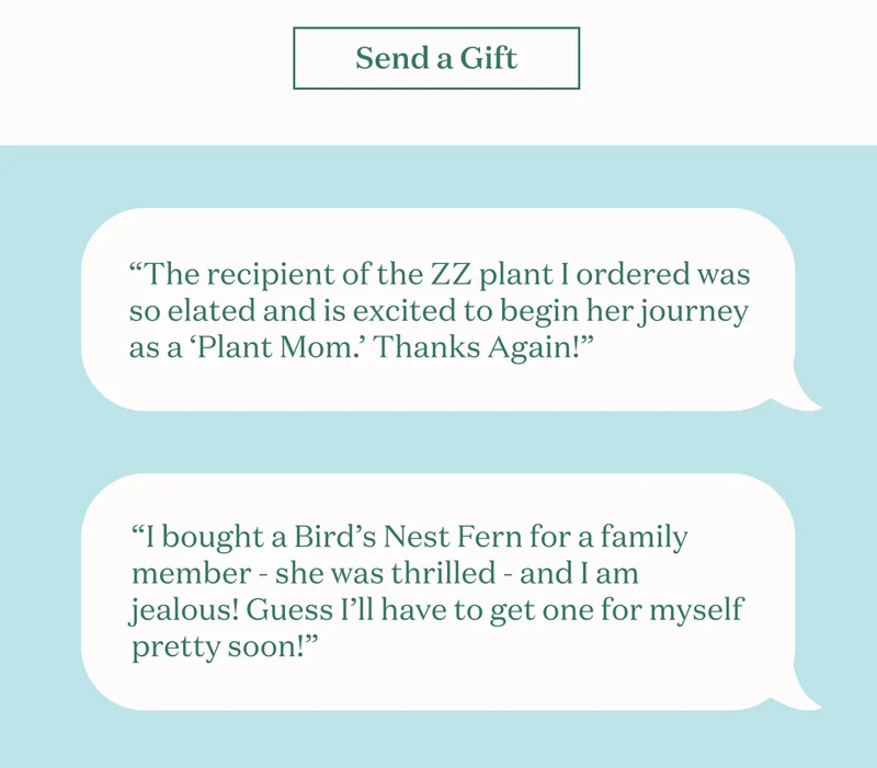 Send a Gift