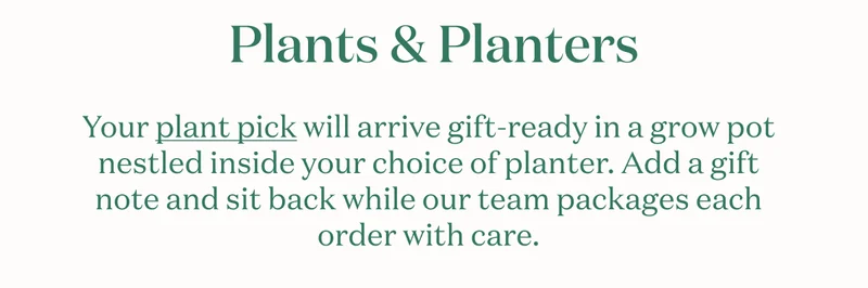 Plants & Planters. Your plant pick will come gift-ready in a  grow pot nestled inside your choice of planter.  Add a gift note and sit back while our team packages each order with care.