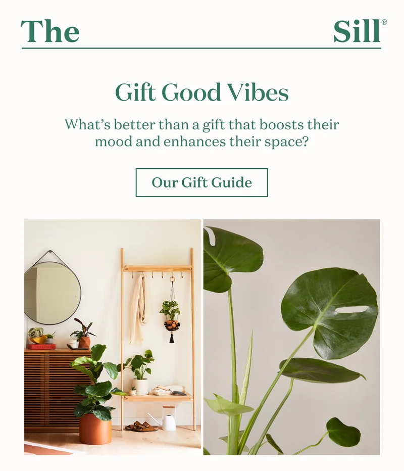Gift Good Vibes. What's better than a gift that boosts their mood and enhances their space? Shop our gift guide.