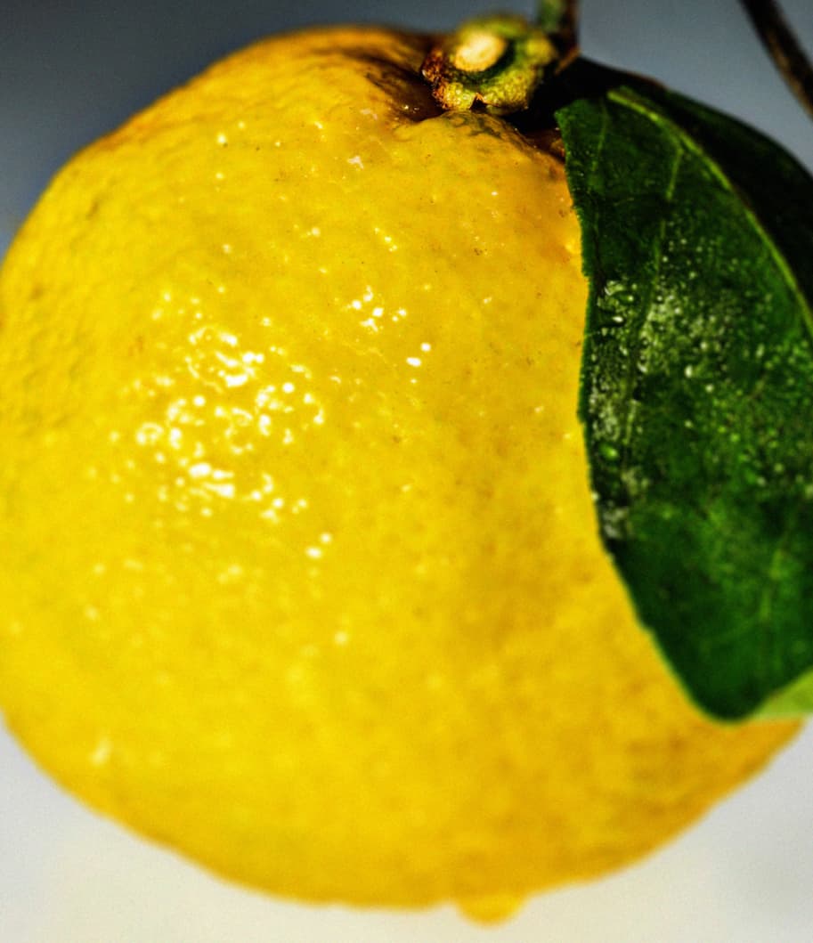 YUZU ENERGY