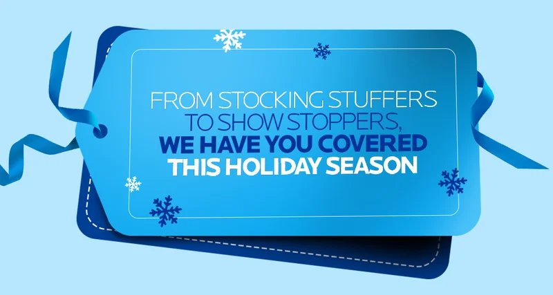 This Holiday Season