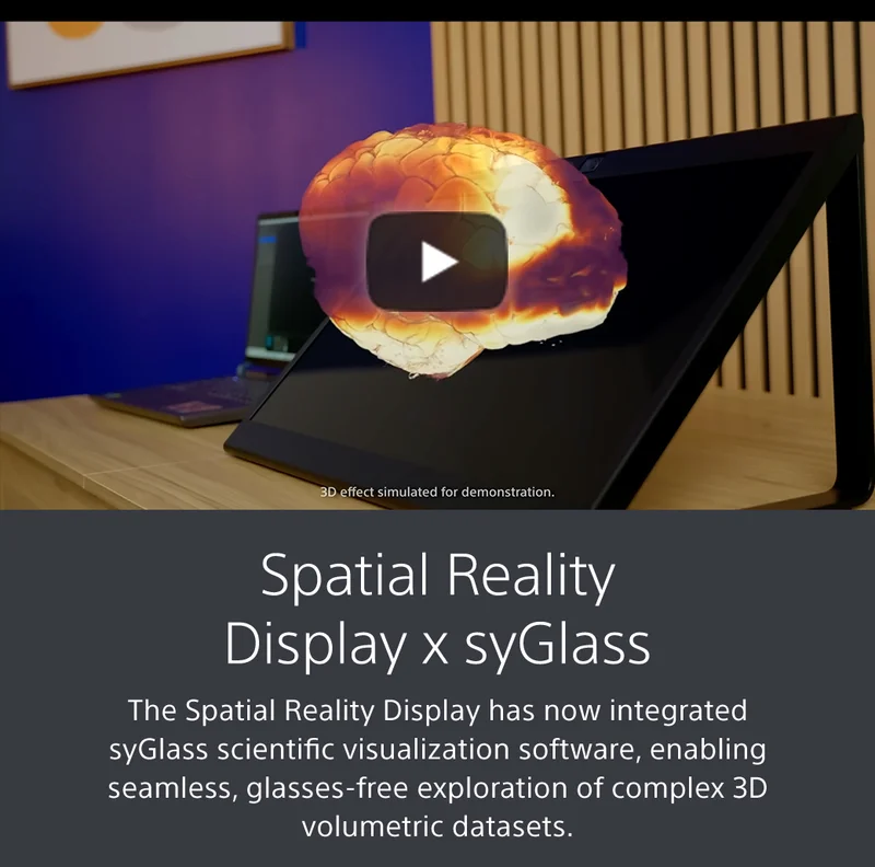 Spatial Reality Display x syGlass