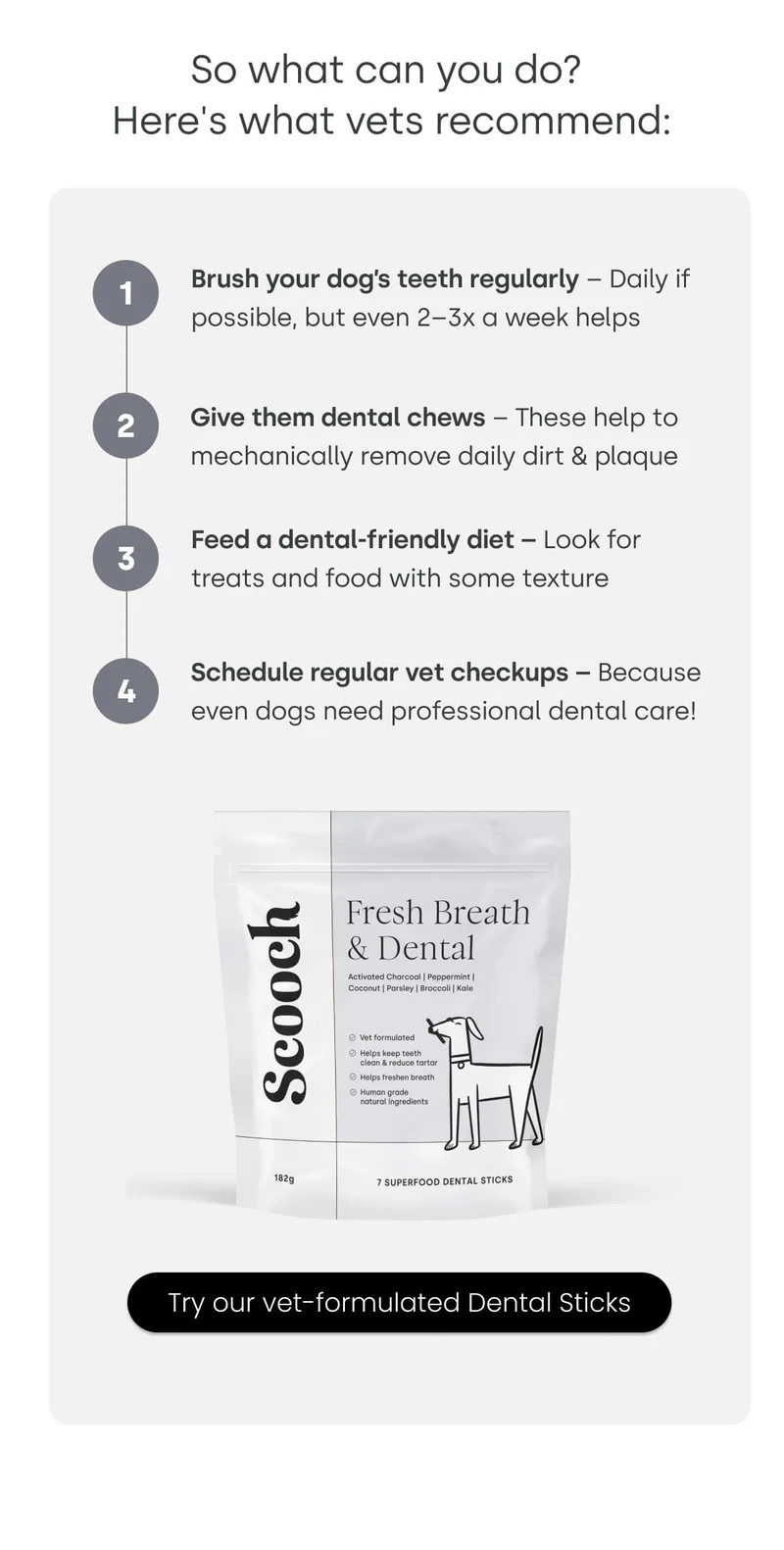 Here's what vets recommend: