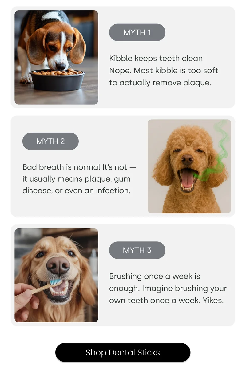 The Myths - Shop Dental Sticks