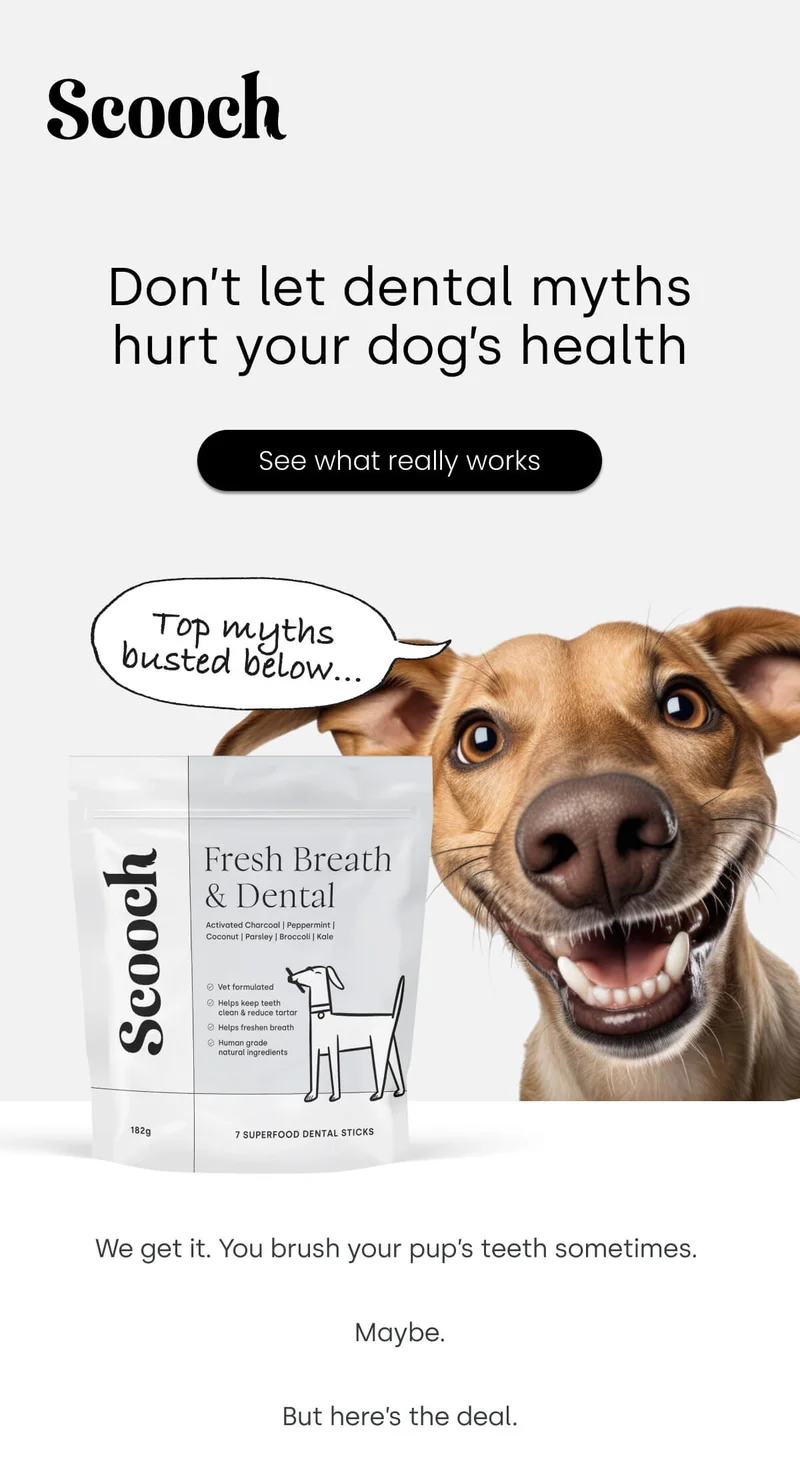 We get it. You brush your pup’s teeth sometimes.   Maybe.  But here’s the deal.
