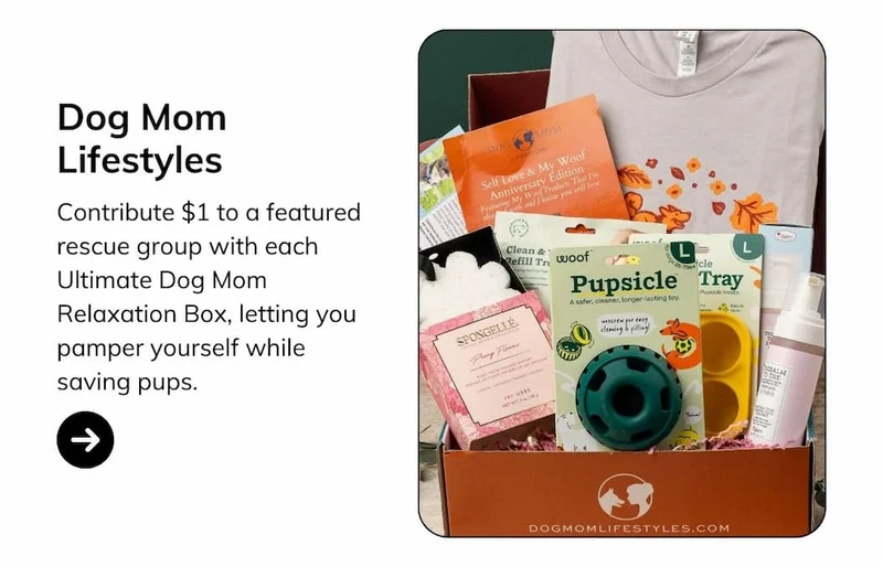 Dog Mom Lifestyles