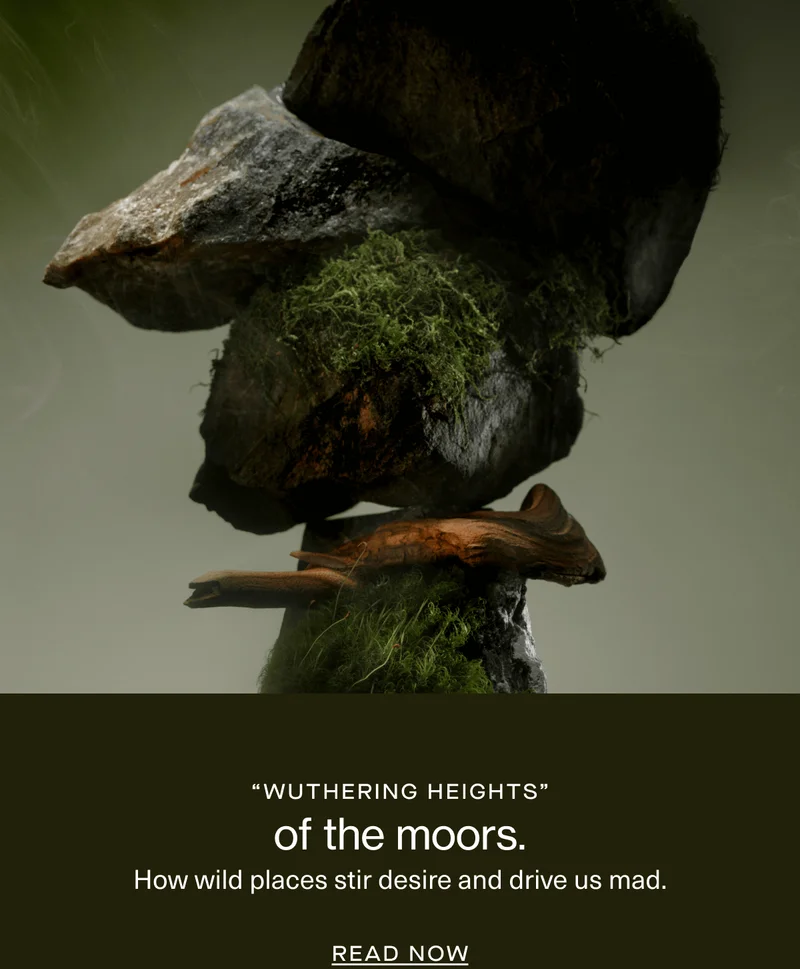 “wuthering heights” | of the moors. | How wild places stir desire and drive us mad. | Read Now