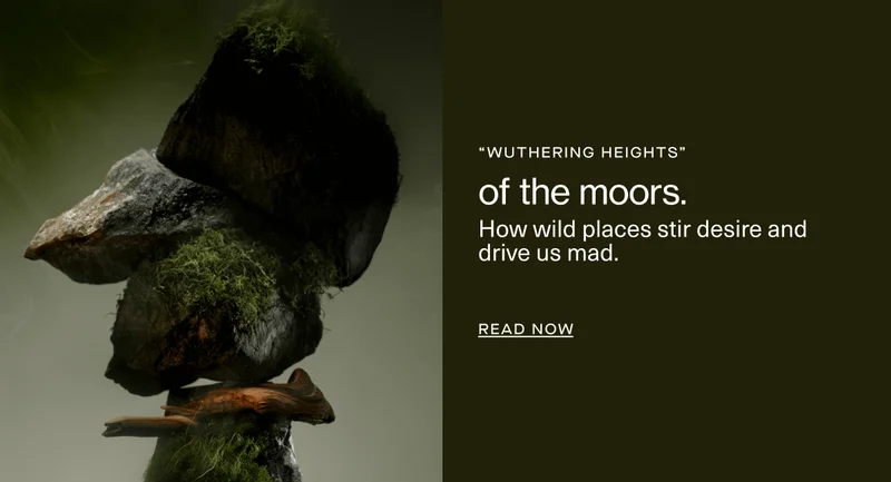 “wuthering heights” | of the moors. | How wild places stir desire and drive us mad. | Read Now