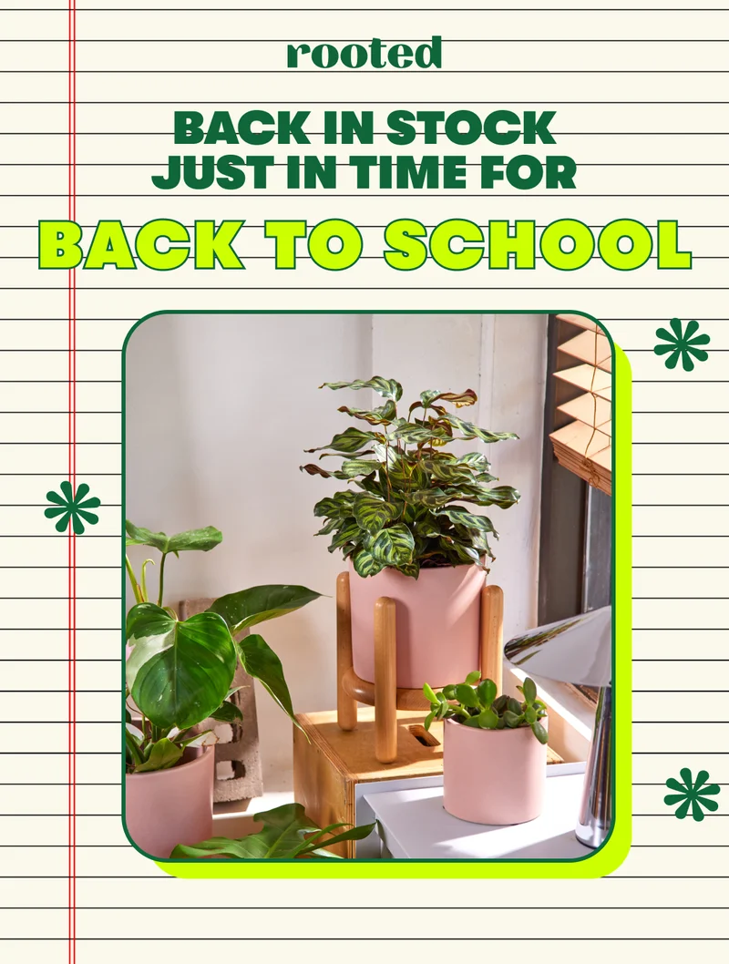 Shop Back to School!