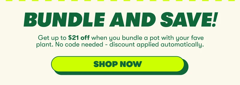 Bundle and save on pots!