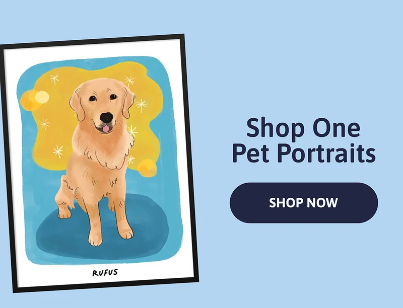 Shop One Pet Portraits